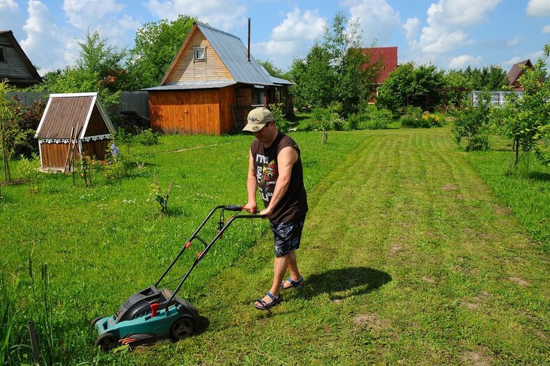 Дача блоггера глазами собаки