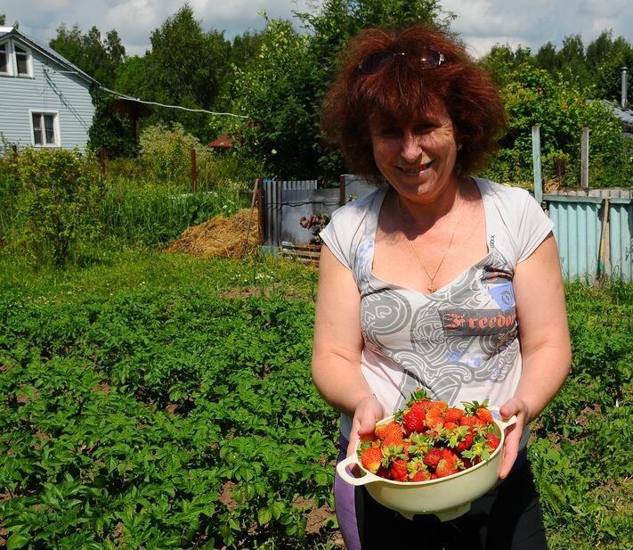 Дача блоггера глазами собаки