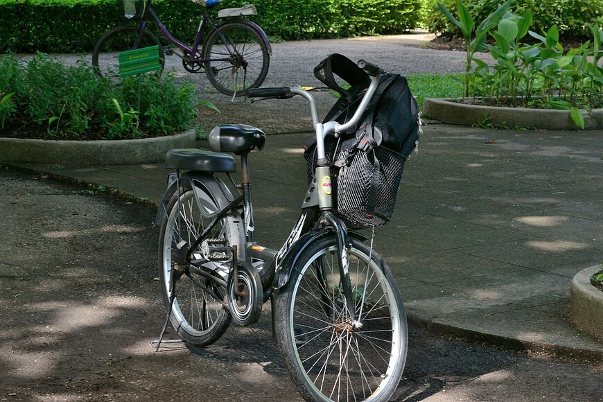 Велосипедные покатушки в Таиланде
