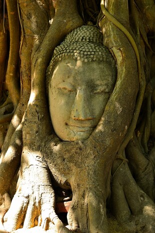 Храм Wat Phra Mahathat.Аюттайя.