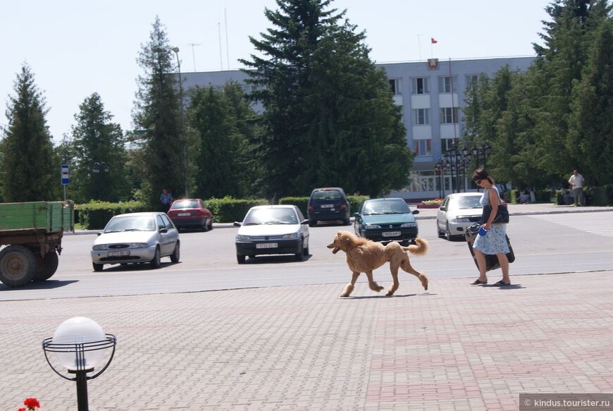 Знакомьтесь: Беларусь. Часть 6. Путешествие к матери всех иешив