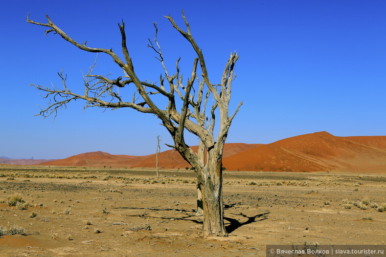 Намибия. Пустыня наступает
