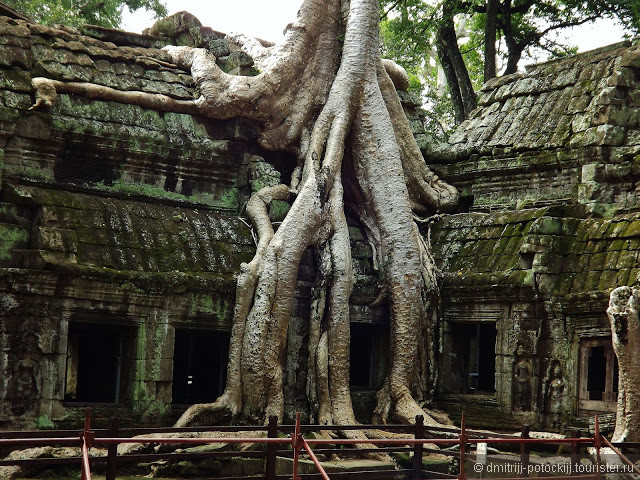 Ангкор — страна забытых храмов