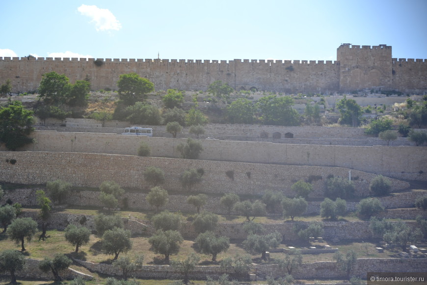 Посетила сердце мира — Иерусалим