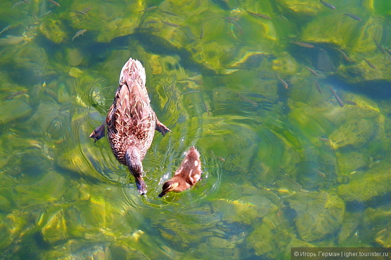 Рождак на матрасике или летом на озере Комо