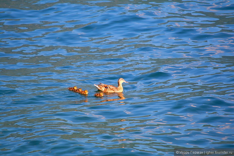 Рождак на матрасике или летом на озере Комо