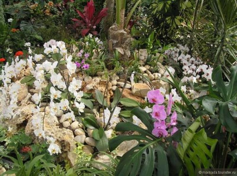 Парк Орхидей