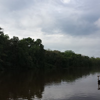 Бразильская Амазония — нетуристическая поездка