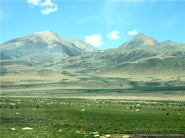 В Тибет на поезде: плюсы и минусы