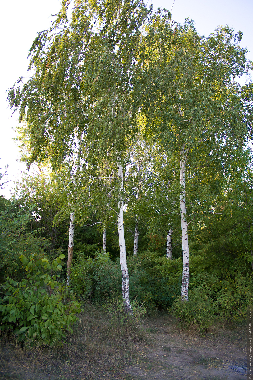 Фотографии Кати Захарченки С Белой Березки