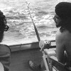 Фидель Кастро и Че Гевара на рыбалке. P.S.  Фото из архива Кубы. 