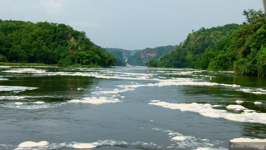Уганда — мисс континент Африки. Часть первая — национальный парк Murchison Falls