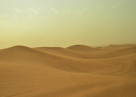 ОАЭ. Дубаи. Пустыня