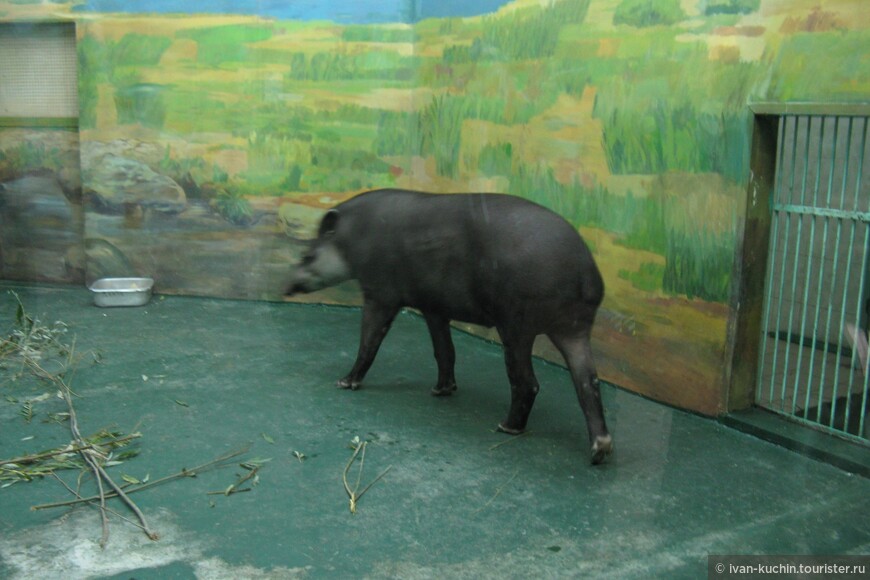 Новосибирский зоологический парк