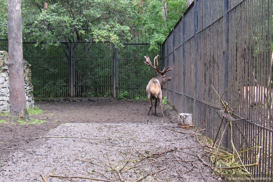 Новосибирский зоологический парк