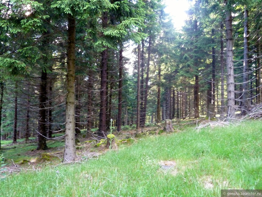Затерянные в лесах Тюрингии