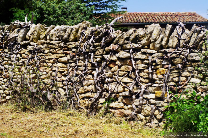 Les villages de Provence en printemps