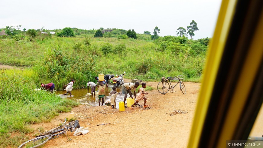 Уганда — мисс континент Африки. Часть вторая — национальный парк Kibale