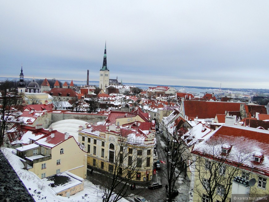 Старый город Таллина. На горизонте Балтийской море