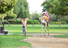 Крик парк, Канатная дорога (Greekside Park)