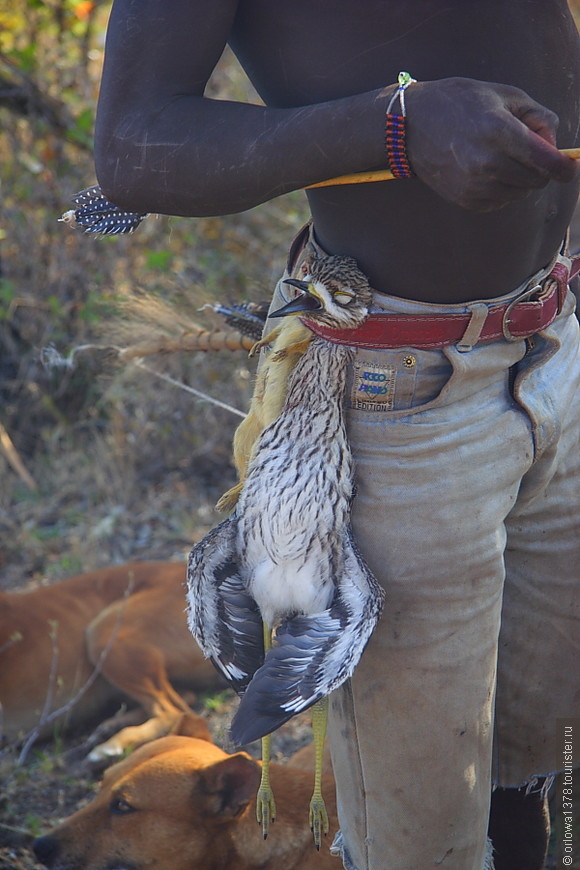 Особенности африканской охоты