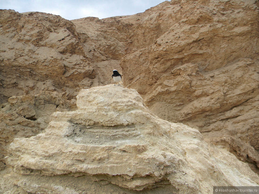 Гора Сдом — соляное чудо Израиля 
