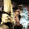 Постойнская пещера, Словения