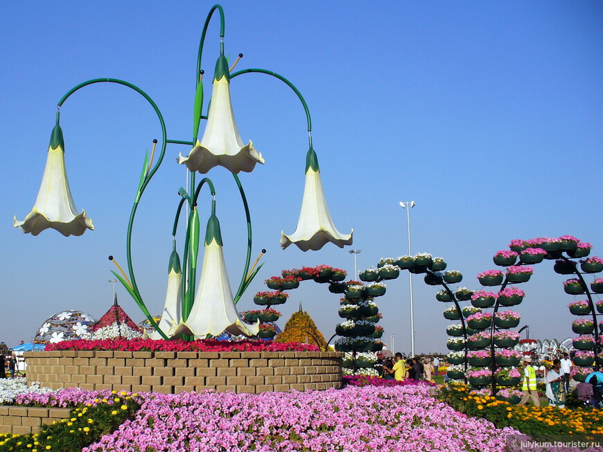 45 миллионов цветов парка Miracle Garden
