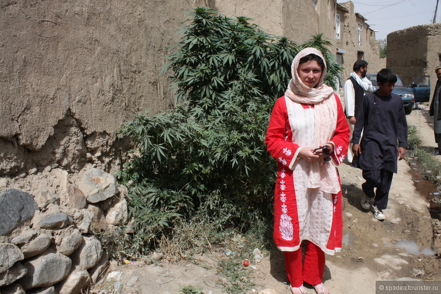 Афганистан гостеприимный и не очень. Часть 8