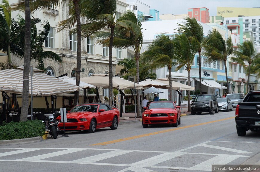 Майами — субъективно лучший город США