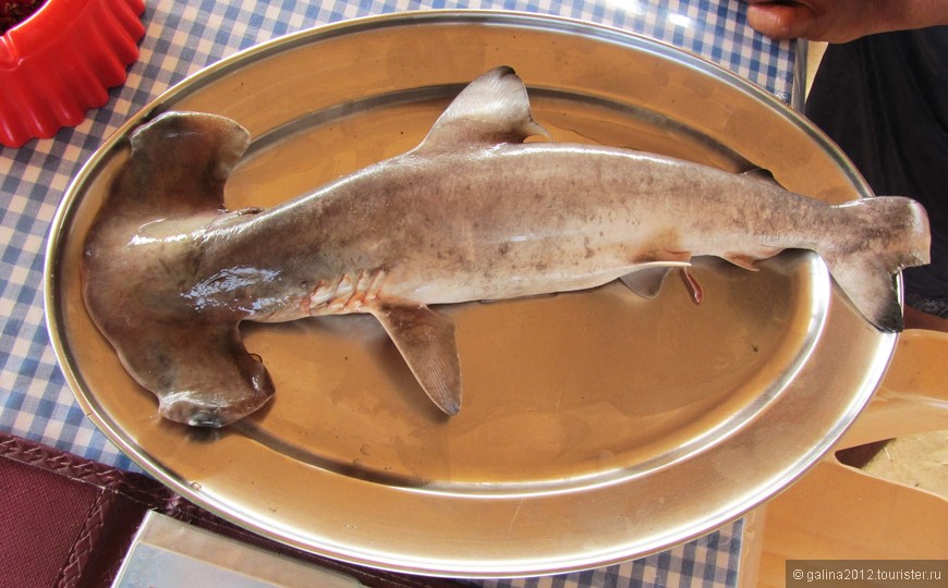 До поездки, в отзывах  туристов прочитала, что самая вкусная акула -эта. Правда! Акула-молот на гриле - это самая впечатляющая еда за все путешествие. И видом, и вкусом. 