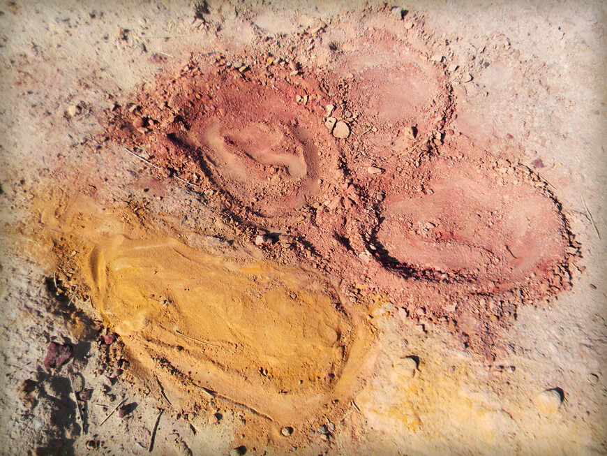 Цветные пески Эйн-Яав, Большой махтеш и каменные деревья 