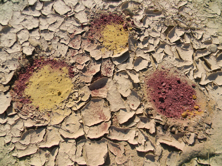 Цветные пески Эйн-Яав, Большой махтеш и каменные деревья 