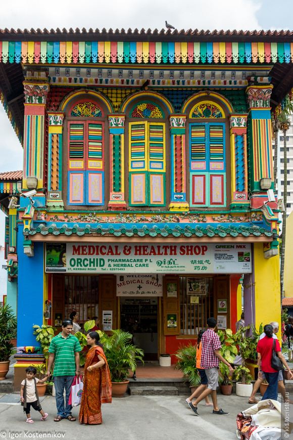Традиционная индийская аптека в ярком доме Тан