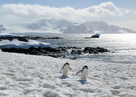 Прощай Антарктика, здравствуй Пасха