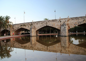 Мосты Турии
