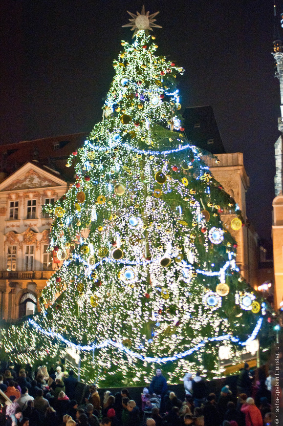Рождество в Праге, Дрездене и Берлине