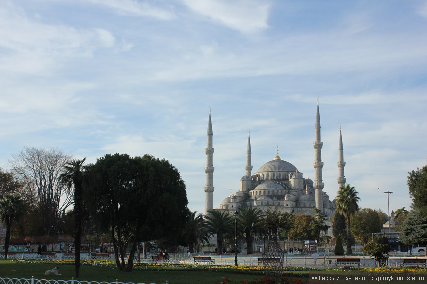 Долгожданный Стамбул!!! Часть 1