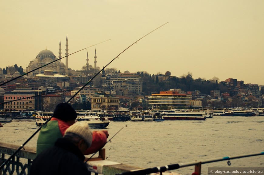 Новогодние каникулы в неновогоднем Стамбуле