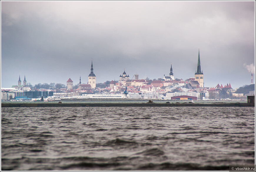 Дождь, ярмарка и Балтийское море