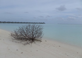 Мальдивы.  Ари Атолл. Sun Island Resort 5*.