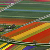 Цветущие поля в регионе Боленстрейк
