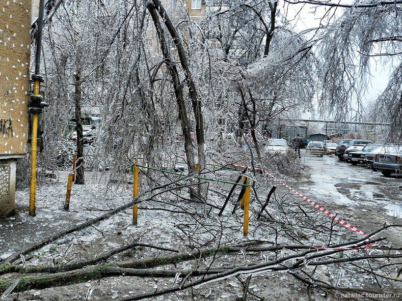 А началось все с обычного зимнего дождя.