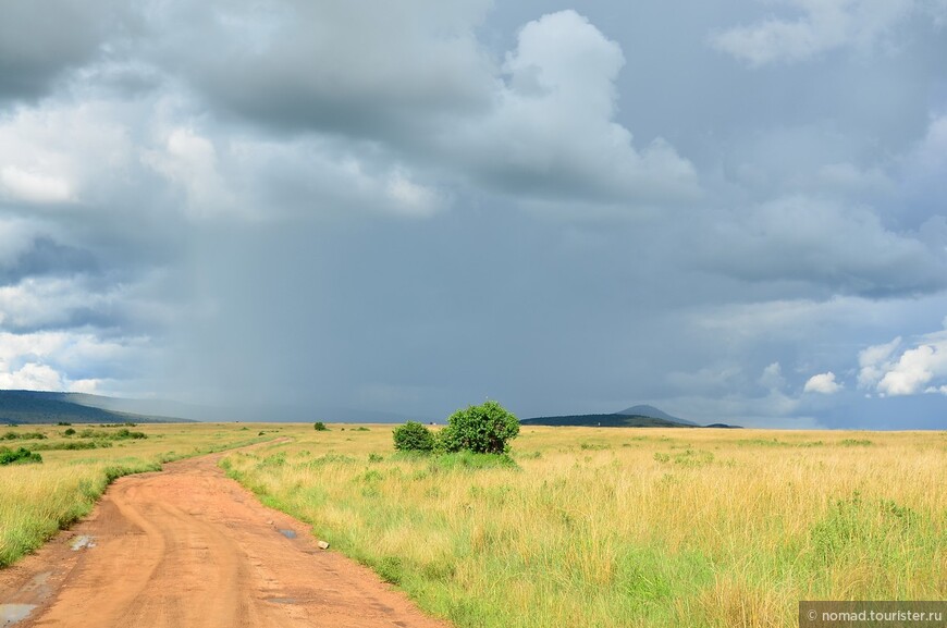 Акуна матата — дубль два. Кения в сезон дождей. Часть 1