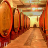 Винодельческое хозяйство в городе Ноччано (Nocciano)
