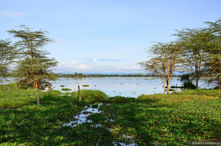 Акуна матата — дубль два. Кения в сезон дождей. Часть 2