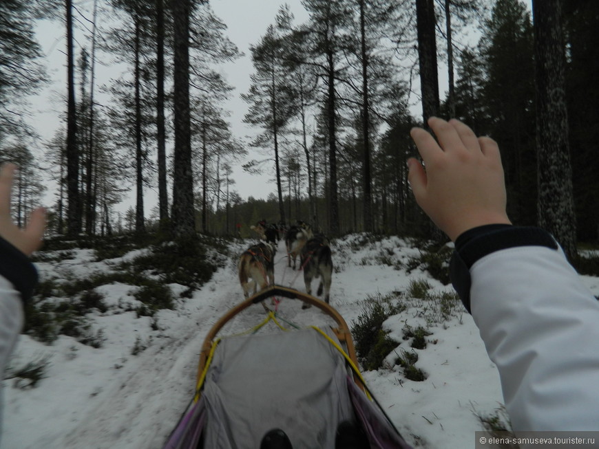 Новогодняя сказка про путешествие в Швецию девочки Сони в поисках Таимбы