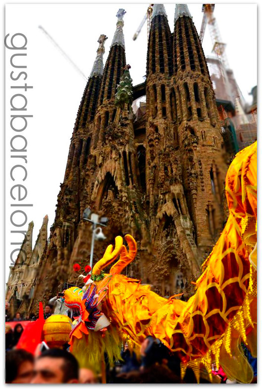 Барселона: Новый Год по китайскому календарю / Сhinese New 2014 Year 
