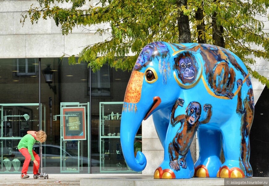 Страсти по слонам в Люксембурге