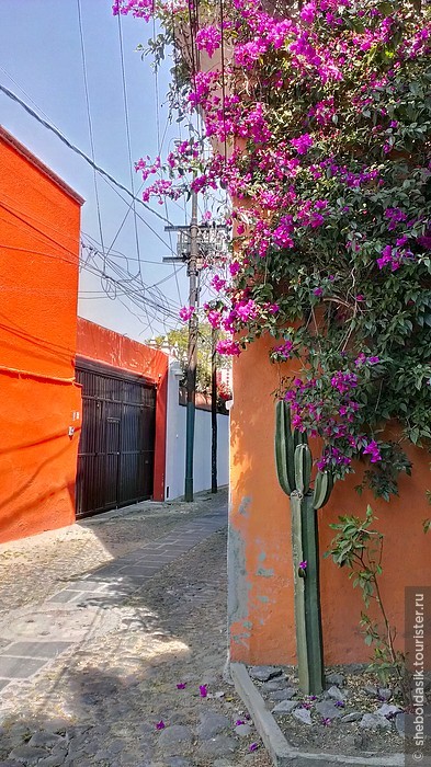 Мехико: район Койоакан, музей Фриды Кало и парки